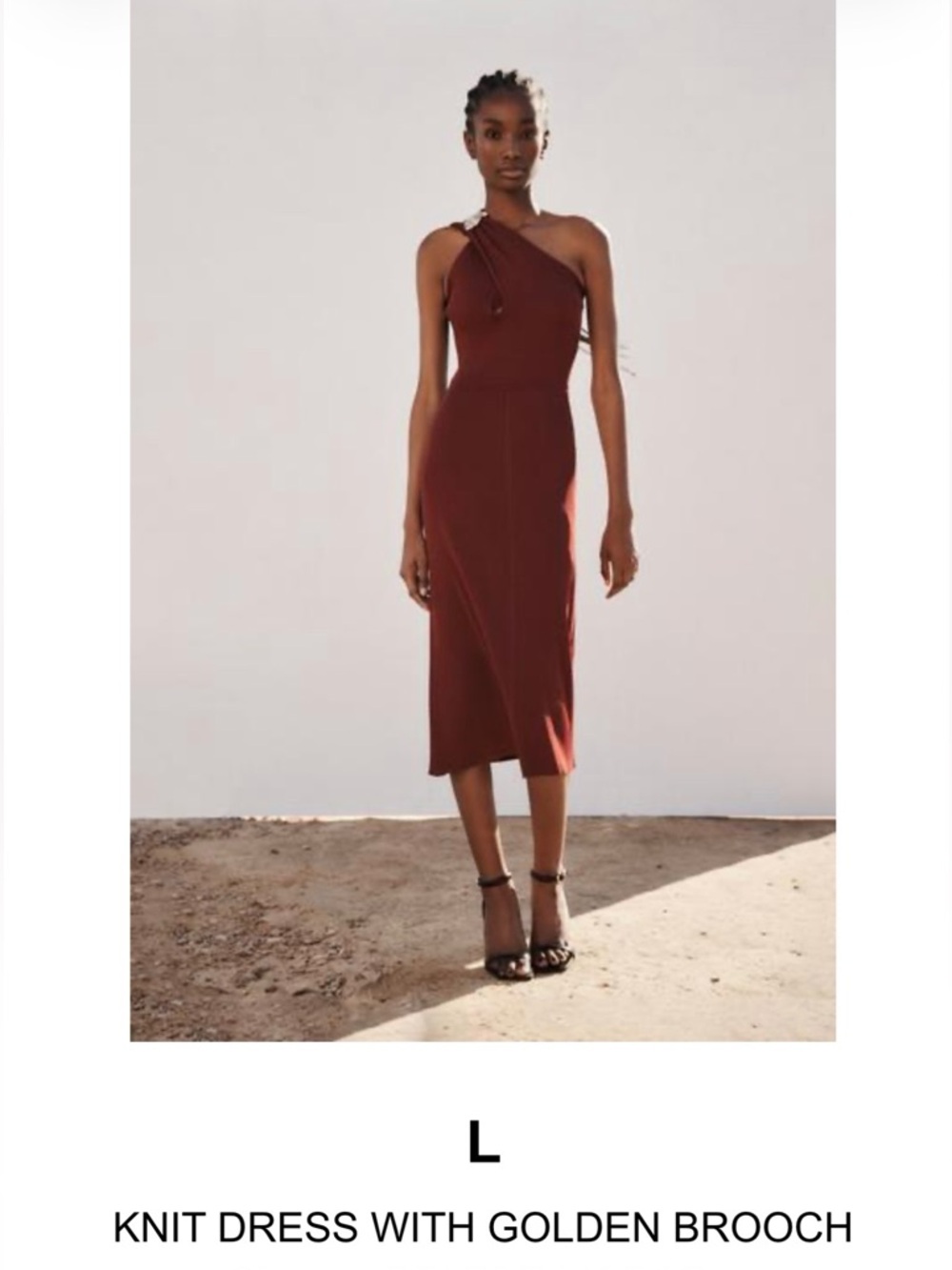 Zara Brown Knit One-Shoulder Dress with Golden Brooch